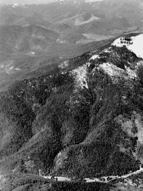 1935 Coeur d'Alene National Forest, few clearcuts and almost no logging roads.